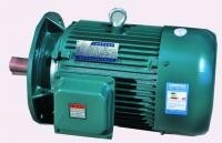 青州三相異步電動(dòng)機(jī)哪家?