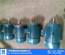 三相異步振動(dòng)電機(jī) 煌速機(jī)電專業(yè)電機(jī)生產(chǎn)